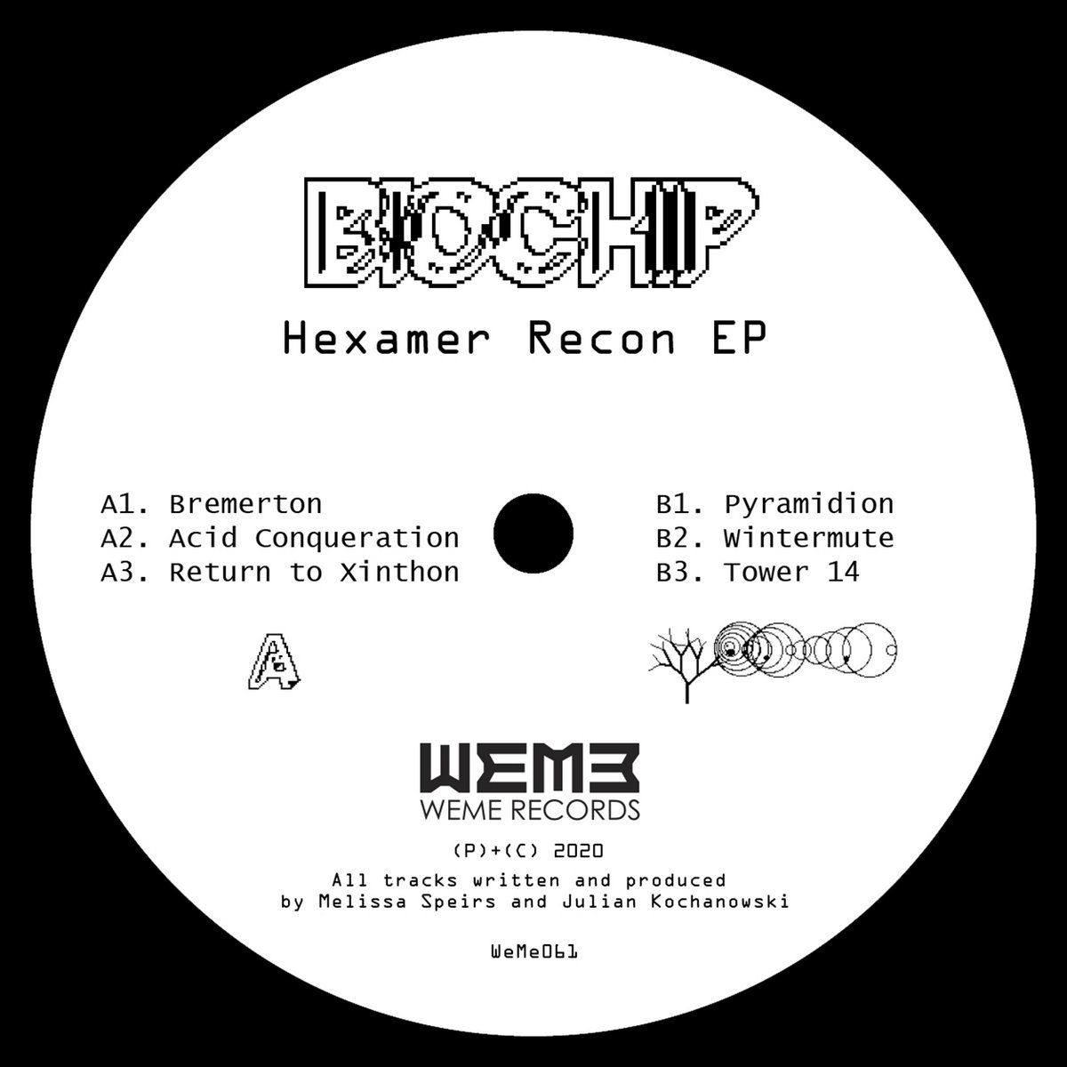 Biochip "Hexamer Recon" EP (Out of Stock)